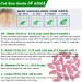 VICTHY 100pcs Colorful Cat Nail Caps with Glue & Applicators - 10 Colors/Set (Small) - Buy Online on GoSupps.com