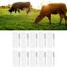 Buy Cow Pregnancy Test Strip - Highly Accurate Colloidal Gold Detection | Quick & Convenient | Ideal for Farms & Livestock Management - Buy Online on GoSupps.com