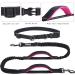 Vivaglory Free-Handed Dog Leash - Double Anti-Shock Bungees Padded Handles Reflective Waist Running Leash for Medium & Large Dogs - Black/Pink M (Fits Waist 83-147cm) - Buy Online on GoSupps.com