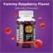 Grab The Gold Elderberry Gummies with Vitamin C & Zinc | Immune Support Gummies Vegan Gluten-Free | 45 Day Supply - Buy Online on GoSupps.com