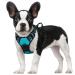 Rabbitgoo dog harness medium -sized anti -train dishes with control no pull adjustable dog harnesses large dogs breathable reflex stripes breast harness safe guidance blue green s (1 Pack) blue -green