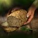 Biocentral Organic Baking Mix Seed Bread - Hemp & Linseed 500g | Easy Flour & Yeast-Free High Protein Filler | Fast International Shipping - Buy Online on GoSupps.com