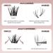 Lash Clusters Kit C Curl - Reusable EyeLash Clusters for Fullness | Beginner-Friendly Upper & Lower Extensions (12-14.5mm) - Shop Now - Buy Online on GoSupps.com