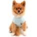 Buy Paidful Summer Striped T-Shirt for Small Dogs - 100% Cotton Sleeveless Chihuahua & Yorkshire - XL Green - Perfect Fit for Young Girls & Pets - Buy Online on GoSupps.com