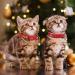 Azuza 4 Pack Plaid Pattern Cat Collar Breakaway with Bell - Adjustable Kitten Collars - Merry Christmas - Buy Online on GoSupps.com