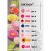 ODETOJOY Flower Quilling Paper Strips Craft Kit - 40PCS, 8 Patterns for Scrapbooking with Embossing Tool - Buy Online on GoSupps.com