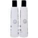 PETER COPPOLA Total Repair Shampoo & Conditioner Duo | Color-Safe Sulfate-Free Hair Care for Color Treated Hair | Keratin Treatment Aftercare (12 Fl Oz - Buy Online on GoSupps.com
