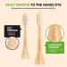 Bamboo Electric Toothbrush Replacement Heads for Philips Sonicare Soft Plant-Based Bristles - Buy Online on GoSupps.com