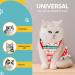 Avont Katzenbody: Optimal Recovery Suit for Cats - Post-Op Castration Weaning & Skin Disease Protection | Shop Now! - Buy Online on GoSupps.com