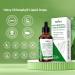 Heivy Chlorophyll Liquid Drops, Liquid Chlorophyll Supplement, Chlorophyll Drops for Internal Deodorizer, Radiant Skin, Detox, Antioxidant, Immune Support, Gluten Free, Natural Flavored - 2 FL OZ - Buy Online on GoSupps.com