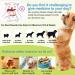 Dog Skin Relief Chews- Itch & Immunity Treats for Allergies - 120 Soft Chicken Flavor Chews - Buy Online on GoSupps.com