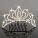 Bseash Mini 4.4 Silver Crystal Tiara Crown Headband Princess Elegant Crown with combs pin for Women Girls Bridal Wedding Prom Birthday Party