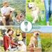 Philorn 350ml Portable Dog Drinking Bottle | BPA-Free 100% Leak-Proof | Cat & Dog Water Bottle & Food Mug | Mint Green - Buy Online on GoSupps.com