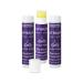 ALIDA PURE Peach Coconut Lip Balm Collection Lemon Ginger Lip Balm Collection Blackberry Pomegranate Lip Balm Collection Bundle - Buy Online on GoSupps.com