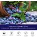 Joselisretail Bilberry Capsules 1200mg Equivalent (90 Vegetarian Capsules) - Gluten Free - Bilberry Extract Supplement - Buy Online on GoSupps.com