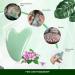 Heart Shape Gua Sha Jade Facial Tool - Natural Stone for Scraping & Spa Therapy - Buy Online on GoSupps.com