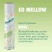 Batiste Bare Fragrance Dry Shampoo 6.73 fl. oz. (Pack of 3) - Refresh and Revitalize Your Hair - Buy Online on GoSupps.com