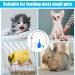 Puppy Kitten Feeding Tube Kit Includes 5 Pcs Kitten Feeding 5 ML 10 ML 20 ML 30 ML 60 ML 4 Pcs Red Feeding Tubes 1Pcs Rubber Suction Device and Air Blowing for Newborn Animals(11Pack) - Buy Online on GoSupps.com