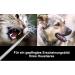 Dog & Cat Tartar Remover - Stainless Steel Dental Care Tool | Intermediate Room Cleaner for Pets - Buy Online on GoSupps.com
