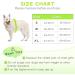 Siivton Dog Life Jacket - Ripstop Vest for Boating & Swimming | Adjustable & Reflective | Buoyancy Rescue Handle | X-Large - Buy Online on GoSupps.com