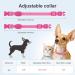 Buy YFBRITE LED Cat & Dog Neck Band - Adjustable Reflective Safety Collar in Pink XS - Comfortable Glowing Puppy Straps - Buy Online on GoSupps.com