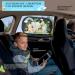 Nutmanel Universal Baby Car SunShade - UV Ray and Glare Protection for Kids and Pets | 50cm*31cm - Buy Online on GoSupps.com
