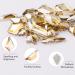 Canvalite 1820Pcs Champagne Rhinestones Nail Gems | 12 Styles 3D Glass Crystals | Nail Rhinestones with Rhinestones Picker & Tweezers | Multi Shape Flatback Face Gems for Nail Art - Buy Online on GoSupps.com