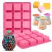 Mity rain Silicone Wax Melts Mold  2pcs 12-Cavities Square Baking Molds Set for Candle-Making and scented wax melts  Baby Food Chocolate Truffles  Ganache  Jelly  Candy  Praline.
