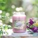 Yankee Candle Sunny Daydream Large Glass Candle | 150 Hour Burn Time | Garden Hideaway Collection - Shop Now! - Buy Online on GoSupps.com