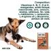 MOOIZA Vita - 21 Multivitamins for Dogs and Cats - Minerals and Amino Acids - Complex of Vitamins A B C D3 - Iodine Zinc - Food Supplement for Dogs and Cats - Barf - Immune System - Bones - Buy Online on GoSupps.com