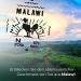 Buy Soolong No. 22 Premium Oolong Tea from Malawi - Sustainable Loose Leaf - Delicate & Flowery - 100g Can - Buy Online on GoSupps.com