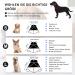 Romantic Bear Dog Recovery Collar | Adjustable Waterproof PVC for Post-Operation Protection | Lightweight & Soft Neck Support for Dogs & Cats (S: 28-34cm) - Buy Online on GoSupps.com