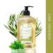 A La Maison Rosemary Mint Hand Soap (3 Pack) - 16.9 Fl Oz | Moisturizing, Natural & Gentle Liquid Soap - Buy Online on GoSupps.com