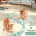 Pawaboo Interactive Cat Toys for Indoor Cats Cat Feather Toys Cat Mouse Toys Moving Automatic Cat Toy with LED Lights Rechargeable Electric Cat Toy Kitten Exercise Toys with 5 Feathers Lake Blue Lake Blue Car - Buy Online on GoSupps.com