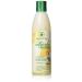 Jamaican Mango & Lime Pure Naturals Coconut Milk & Honey Shampoo 8oz 8 Oz