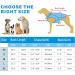 MOSUCOURL Dog Cooling Vest - Breathable Summer Coat for Dogs | Anti-Heat Evaporative Jacket for Outdoor Activities (Blue XS) - Buy Online on GoSupps.com