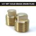 2 Pack 1/2 Inch NPT Solid Brass Boat Drain Plugs - Garboard Drain Plug for Most Boat Hulls - Buy Online on GoSupps.com