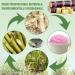 Vmiapxo 100 Sets Natural Bagasse Fiber Paper Cups  Portion Cups Disposable Dishes Recycleable Cups for Sample Condiment Tasting Serving (4oz Cups with Lids) - Buy Online on GoSupps.com