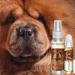 Chow Focus Dog Aromatherapy Spray 2.67-Ounce Spray Chow - Buy Online on GoSupps.com