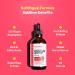 Sunflower Lecithin 750mg Liquid Drops - Pure Vegan Sublingual Supplement for Breastfeeding & Digestion Support - Non-GMO - Buy Online on GoSupps.com
