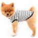 Shop Paidful British Dog Shirt - Soft Cotton Striped Cat Vest for Puppies & Chihuahuas | Summer Pet T-Shirt XXL - Black - Buy Online on GoSupps.com