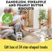 The Granville Island Pet Treatery|Gift Box Dandelion Pineapple & Peanut Butter Biscuits for Dogs All Natural & Chemical- Free Great As A Hostess Gift Or Thank You Made in Canada|88864 Pineapple & Peanut Butter 135 g (Pack of 1) - Buy Online on GoSupps.com