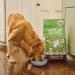 Lily's Kitchen Made with Natural Ingredients Adult Dry Dog Food Lamb Shepherd's Pie Balanced Recipe 12kg bag - Buy Online on GoSupps.com