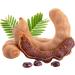Fresh Organic A1 Quality Tamarind Seed | Imli Beej | Imli Seed - 1Kg - Buy Online on GoSupps.com