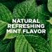 Tom's of Maine Sea Salt Mouthwash - Alcohol-Free Refreshing Mint, 16oz (Pack of 6) - Buy Online on GoSupps.com