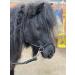Rope headcollar with Reins for use of Bitless Horse Riding Full to Mini Shet 5 Colours (Black Mini Shetland) Mini Shetland Black