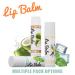 12 Flavor Natural Lip Balm Set Moisturizing Lip Care Variety Pack with Cherry Coconut Aloe Vera Honey & More Organic Hydrating Lip Moisturizer for Dry Cracked Lips Safe for All Ages - Buy Online on GoSupps.com