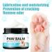 Pet Foot Care Cream | Cat Butter Cream 120g Dog Paw Protection for Hot Sidewalks Moisturizer Licksafe Dog Paw Balm Protects Against - Buy Online on GoSupps.com