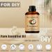 Coconut Essential Oil 240ML - 100% Pure and Natural for Aromatherapy Diffuser - 8 Fl Oz Coconut 8 Fl Oz (Pack of 1) - Buy Online on GoSupps.com