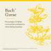 Bach Original Flower Remedies Gorse - Have Hope - Natural Homeopathic Flower Essence for Emotional Balance - Vegan Gluten Free Sugar Free - 20mL Dropper - Buy Online on GoSupps.com